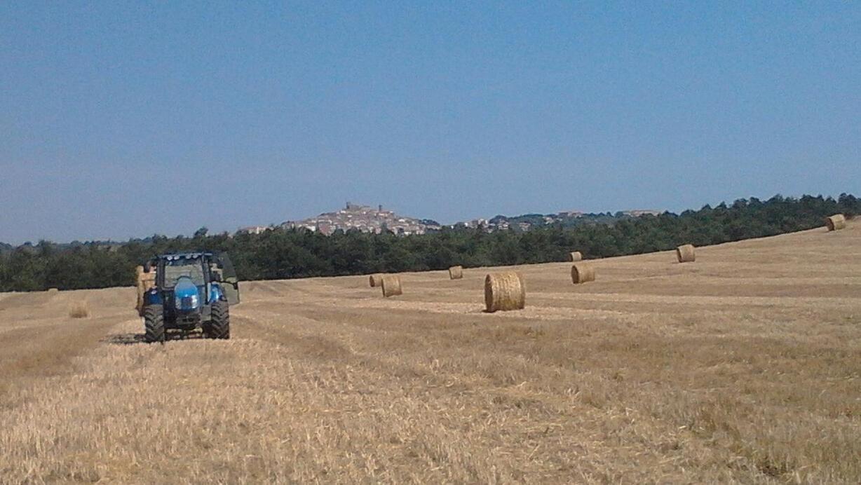 Il Laghetto Agriturismo Villa Manciano Exteriör bild